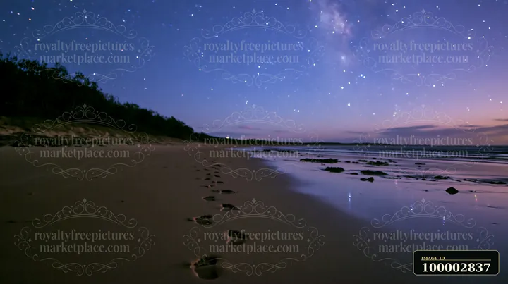 Footprints lead along a sandy beach under a starry night sky filled with bright stars.