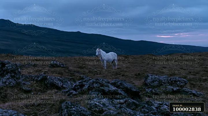 A white horse stands alone on a dark mountain ridge surrounded by rocky terrain and a cloudy sky.