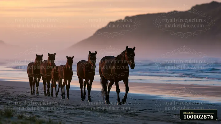 Five wild horses walk along a sandy beach with gentle waves.