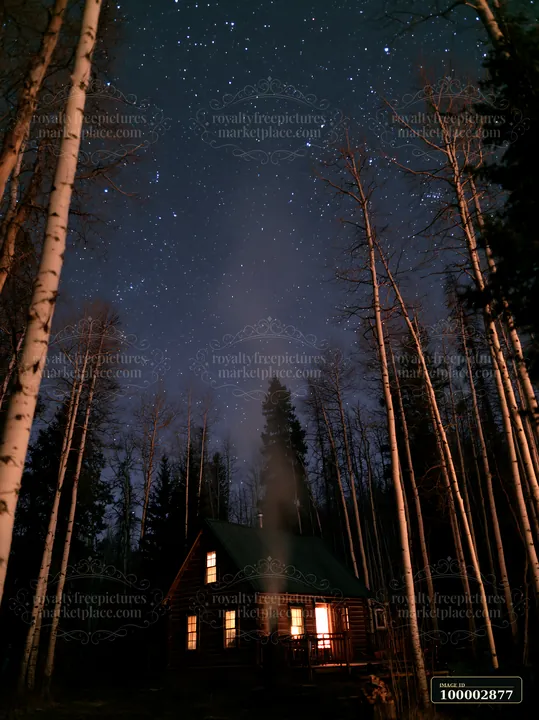 A cabin with smoke rising under stars stands surrounded by tall trees at night.