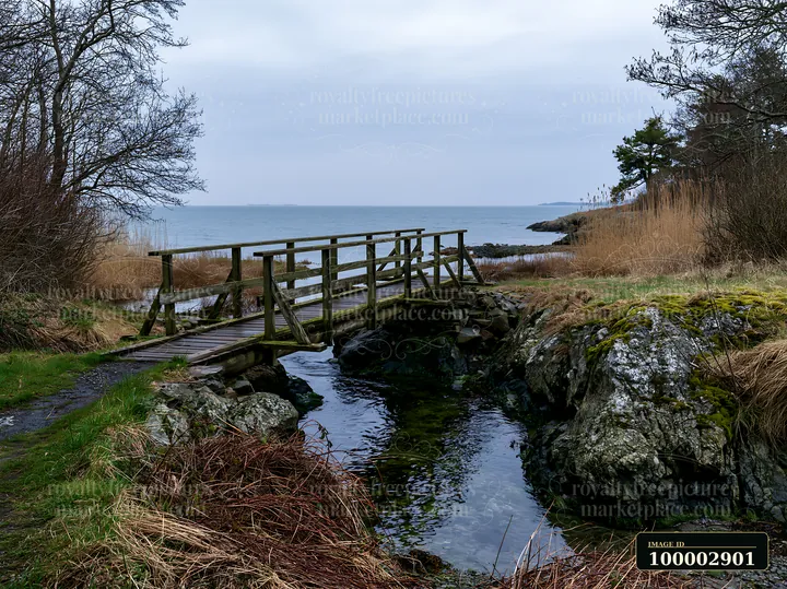 A wooden bridge crosses over a narrow stream leading to the sea at a coastline with exposed rocks.