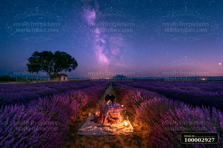 A couple sits together on a blanket in a lavender field, looking up at stars in the night sky.