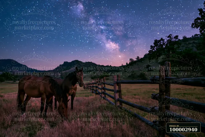 Two horses graze in a grassy field under a starry sky filled with visible constellations.