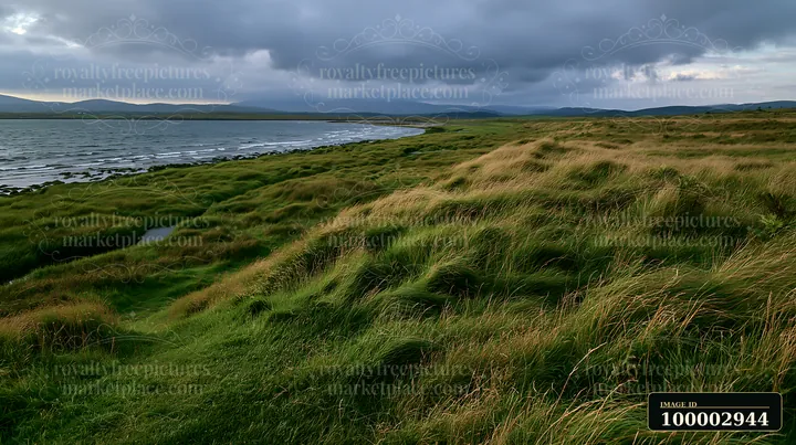Grass-covered hills slope down to a coastline with salt marsh along the water.