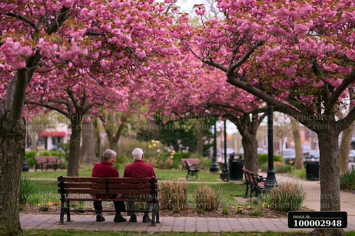 Two people sit on a bench under colorful flowering trees in a public square.