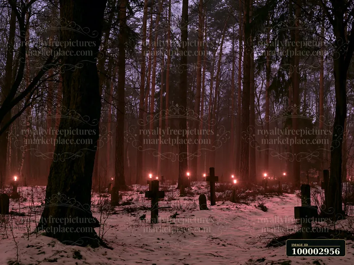 Military graves beside a forest at night are marked by candles illuminating the surrounding area.