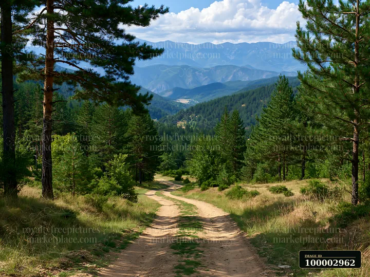A dirt path winds through a dense pine forest, leading to a distant mountain range under a partly cloudy sky.