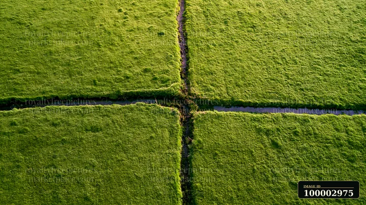 A lush green meadow segmented by narrow water channels, highlighting the intricate patterns formed by the terrain.