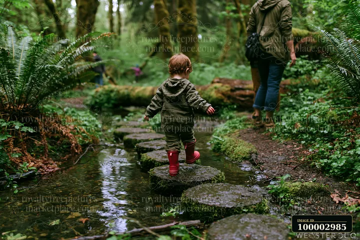 A child walks on stepping stones across a small creek in an ancient forest.