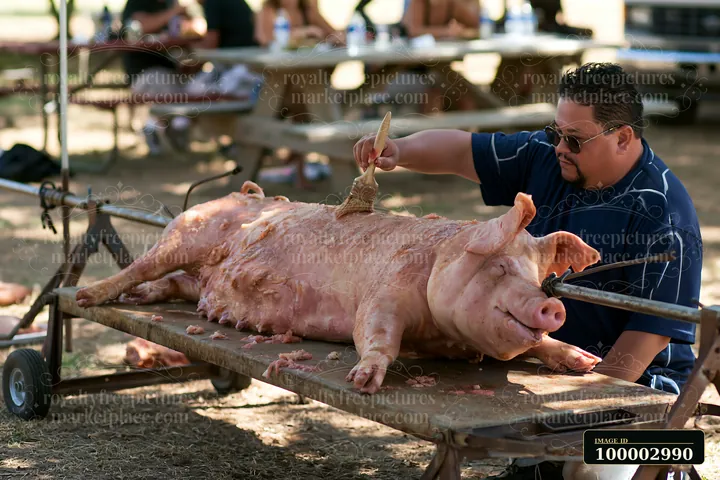 A man brushes marinade on a fresh pig prepared for spit roasting in a backyard setting.