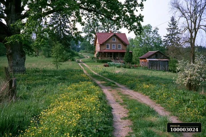 A rural home is located under oak trees along a dirt path with wildflowers.