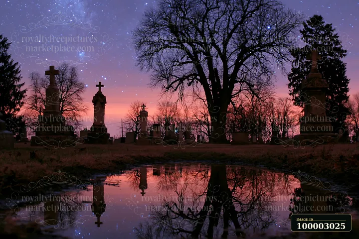 Headstones silhouetted against a starry sky are visible in a cemetery during twilight.