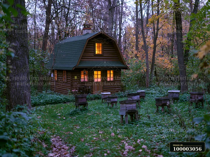A wooden garden house stands empty in a forest surrounded by trees.