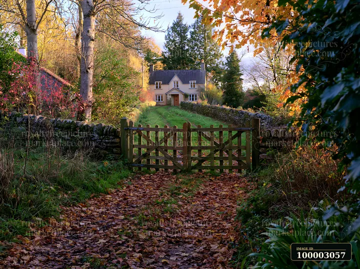 A rural cottage viewed through gate offers a glimpse of the home set amidst tall trees and colorful autumn leaves.