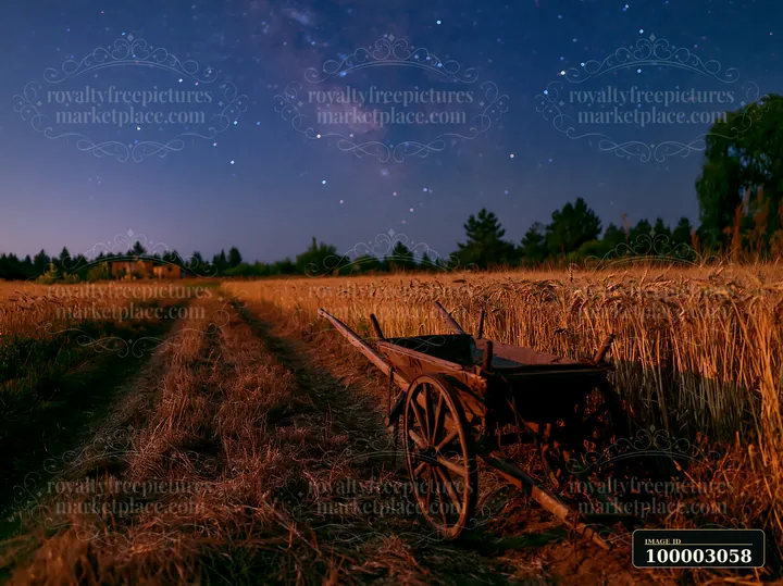 Stars fill the sky over a wheat field where a wooden wheelbarrow rests.