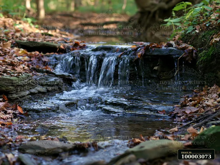 A forest brook flows gently with a miniature waterfall, surrounded by fallen leaves and rocks.