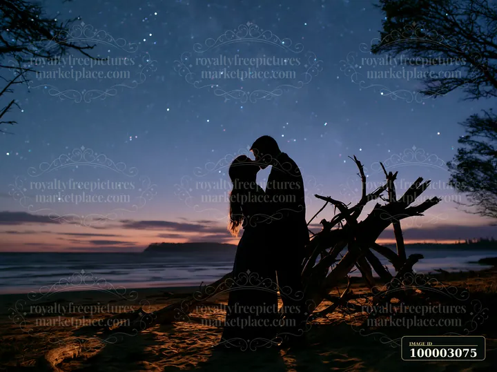 A couple shares a kiss on a beach under a starry sky at twilight.