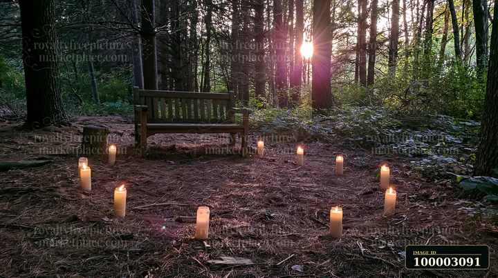 Candles arranged in a circle illuminate the forest floor near a wooden bench.