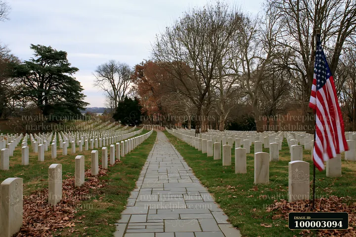 A flag stands at the edge of a path lined with gravestones in Arlington Cemetery.