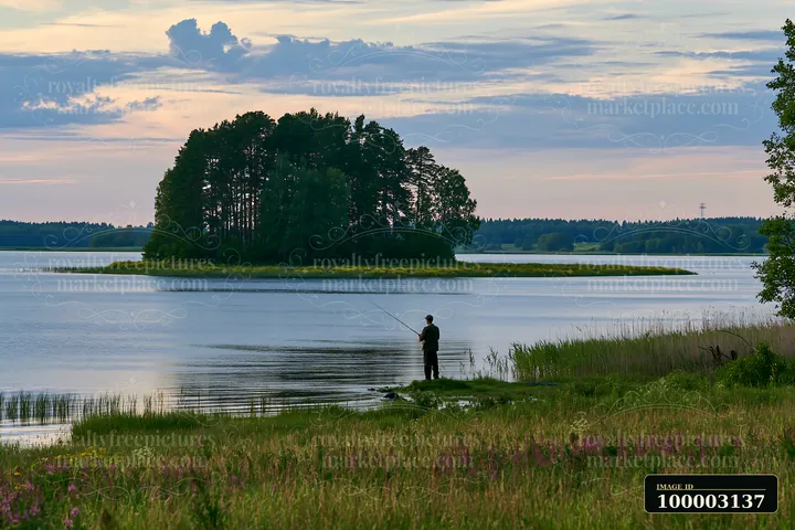 A person stands on the shore casting a fishing line towards an island covered with buttercups in the distance.