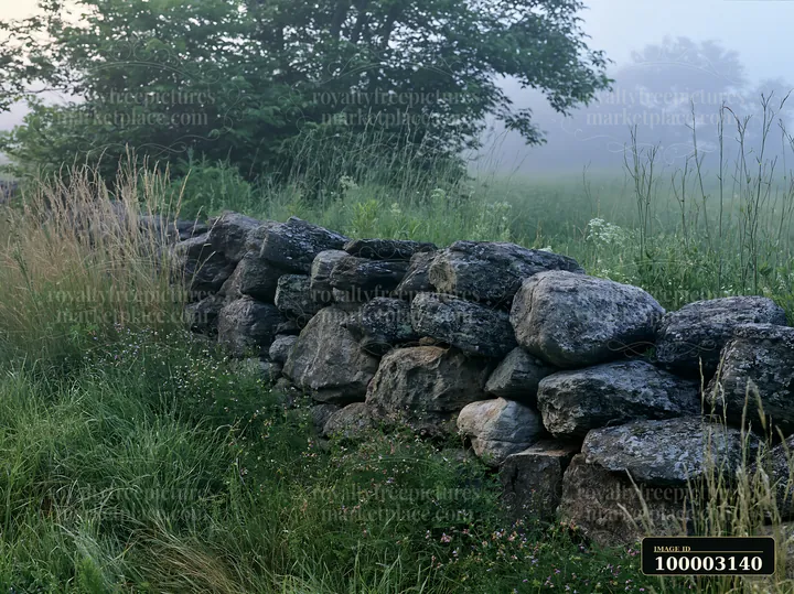 A stone wall sits in a meadow in morning mist with tall grass surrounding it.
