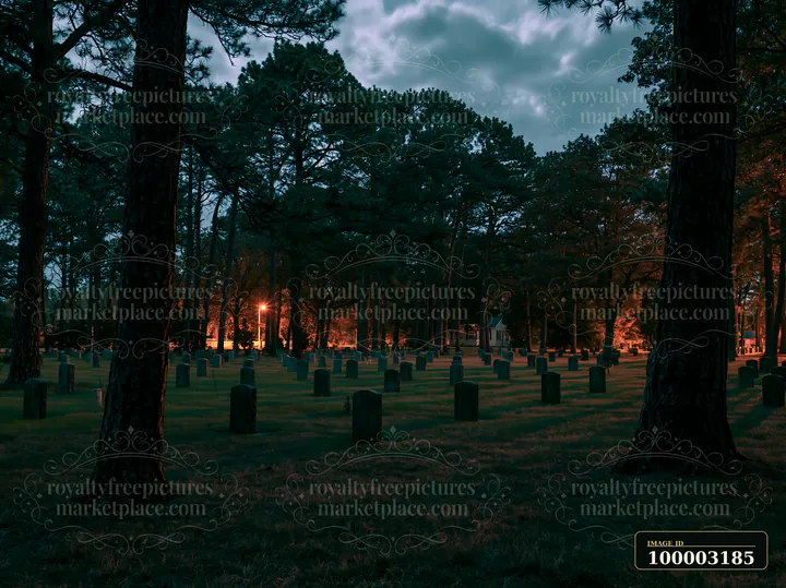 A night landscape of a veterans cemetery shows gravestones surrounded by trees.