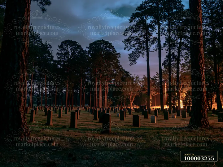 A night landscape of a veterans cemetery shows gravestones illuminated by soft light.