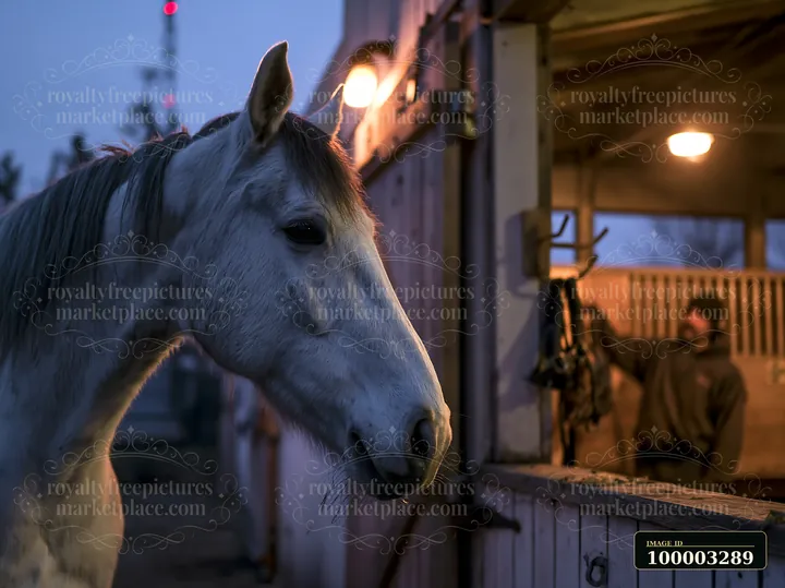 A horse stands near its stable, illuminated by warm lights while a person tends to the surroundings.