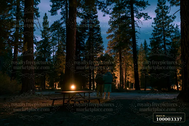 A couple stargazing in a national park stands near a picnic table surrounded by tall trees.