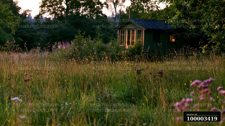 A small garden room stands at the edge of a grassy lawn as the sun sets, creating a warm glow.