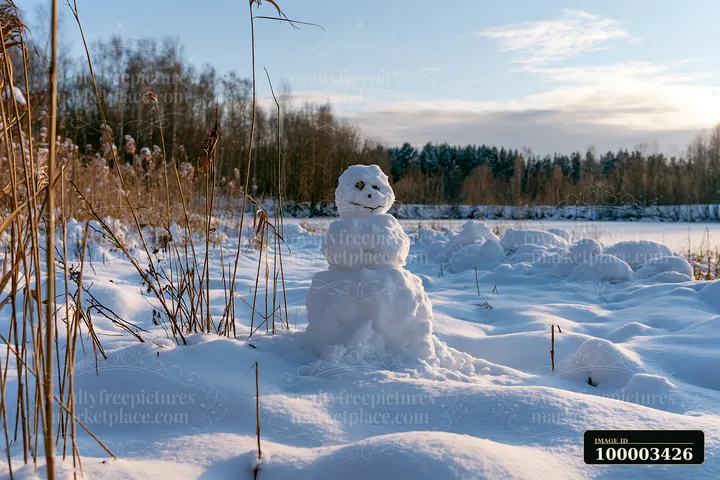 A snowman surrounded by snowdrifts stands in a winter scene near a frozen lake.