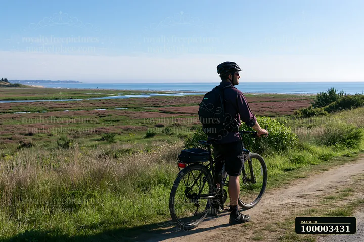 A cyclist pauses along a coastline with salt marsh, overlooking the water and vegetation.
