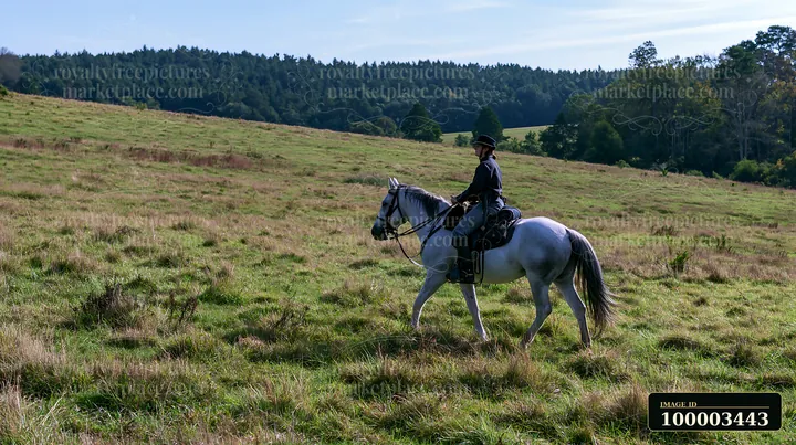 A person rides a horse in a grassy field surrounded by trees and hills during daytime.