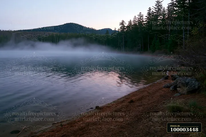 Fog drifts through a mountain pine forest near a calm lake during early morning.