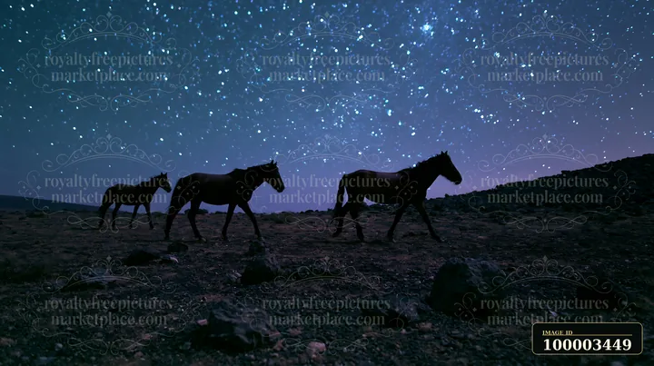 Three wild horses move across a rocky landscape under a multitude of stars.