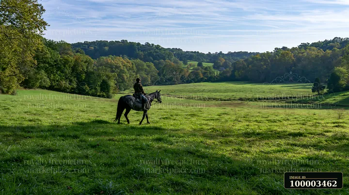 A person rides a horse across a lush green field surrounded by trees and hills.