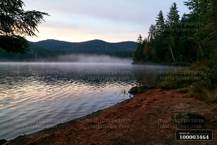Fog drifts through a pine forest mountainscape over a calm lake during early morning light.