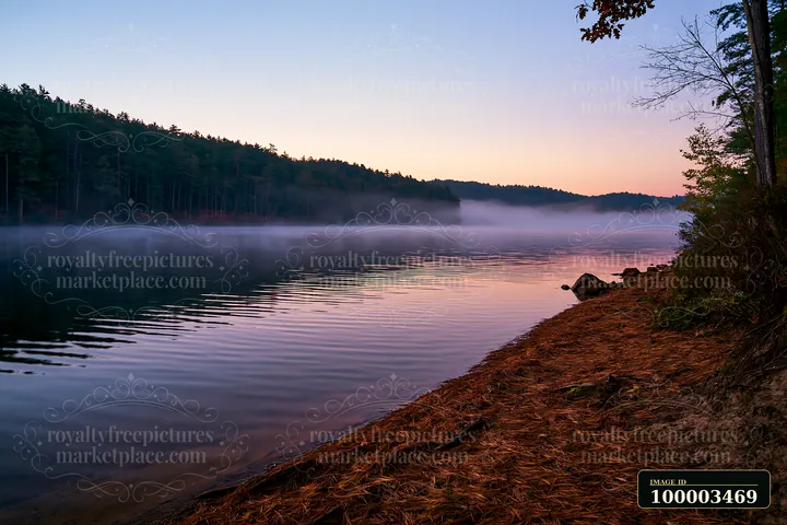 Fog drifting through pine forest mountains creates a serene scene by the lake at dawn.