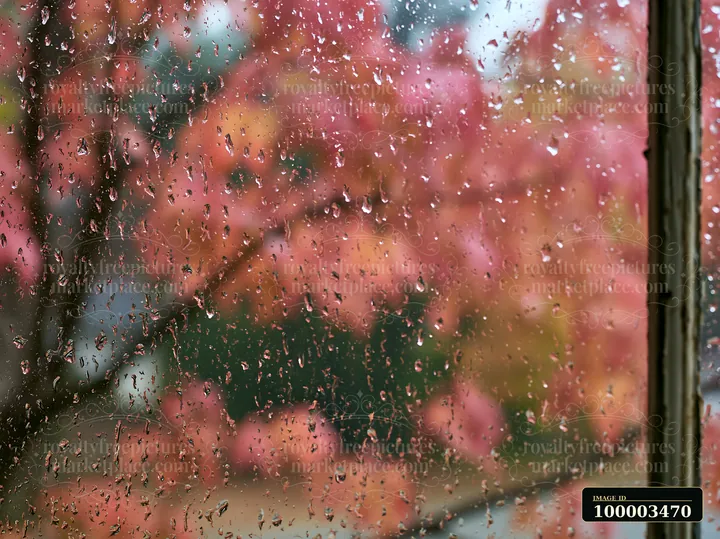 Raindrops collect on a rustic window pane, creating a close-up rain texture on rustic window pane.