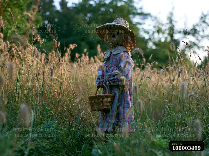 A scarecrow in a rural meadow holds a small basket while surrounded by tall grass and greenery.