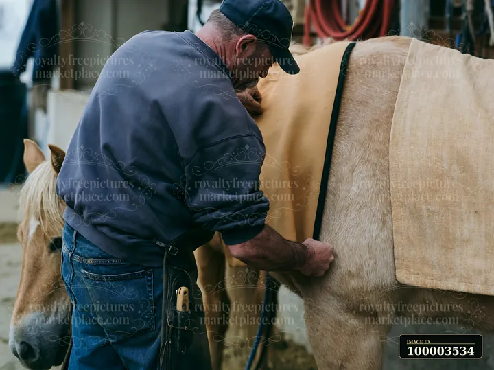 A man saddling a horse in a stable prepares for riding.