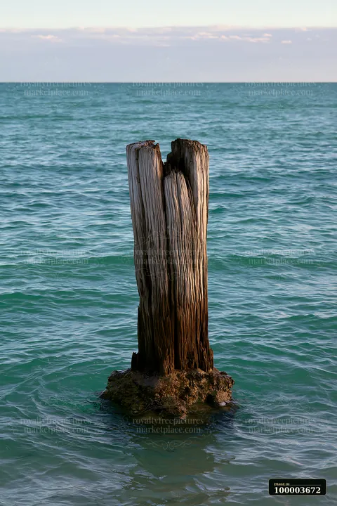 An old wooden piling stands in shallow water with a turquoise horizon in the background.