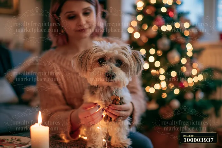 Woman holding a small dog beside a lit Christmas tree in a warmly decorated apartment.