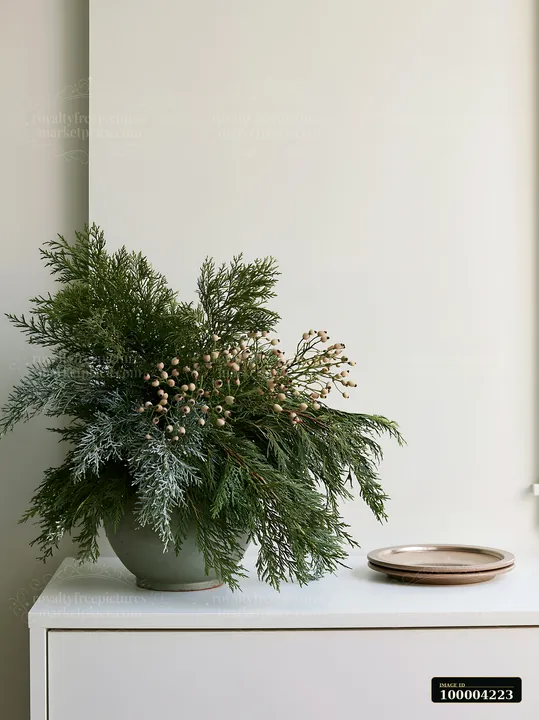 Evergreen Christmas centerpiece with pale berries beside an empty light wall and white cabinet.