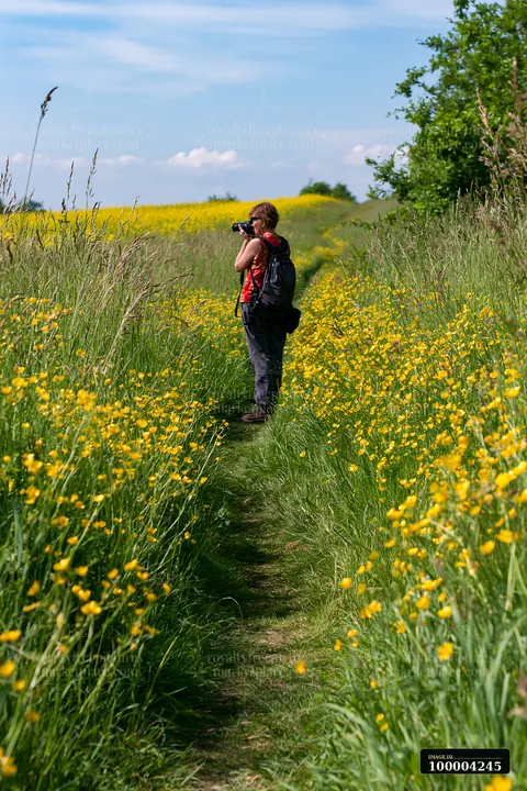 A woman stands on a narrow path surrounded by tall grass and yellow flowers, focused on taking photos in a sunny meadow beside a rural path for countryside tour