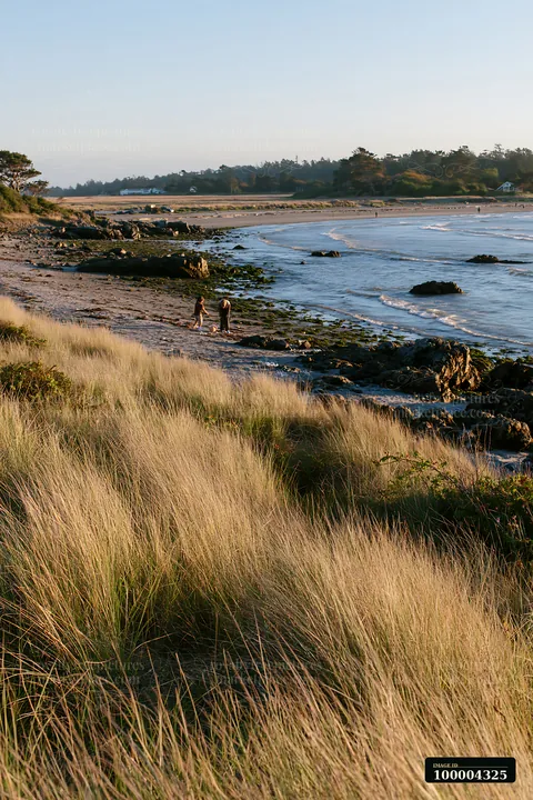 Tall coastal grass overlooks a rocky shoreline, sandy beach, gentle waves, and two people near the water.