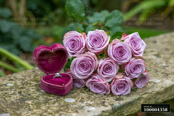 Open heart-shaped ring box with a ring beside a bouquet of lavender roses on a weathered stone surface.