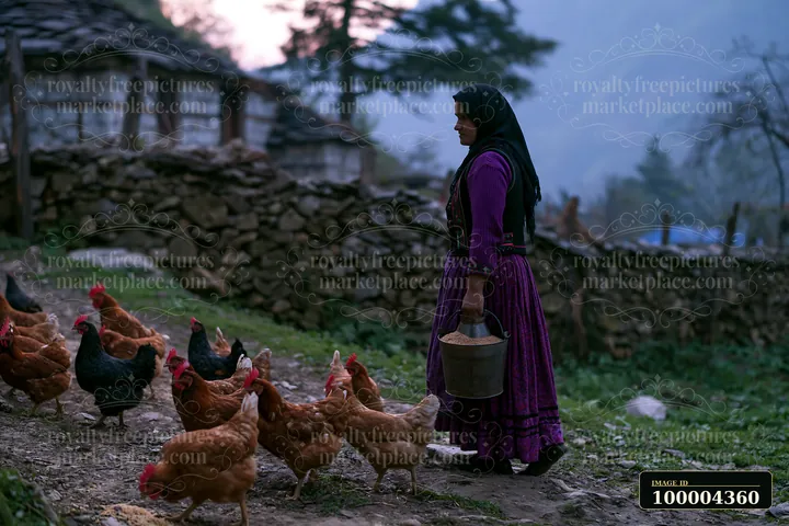 Woman in traditional attire holds a grain bucket while chickens gather on a rural farm beside a stone house.
