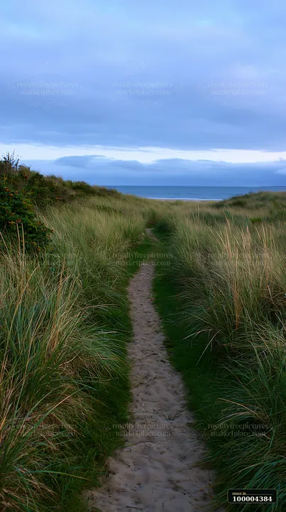 Sandy path through dune grass leads toward a calm sea under a cloudy blue sky.
