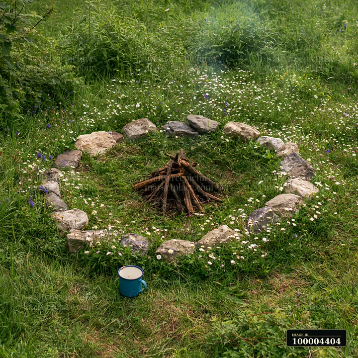 A round fire ring made of stones sits in a wildflower meadow.